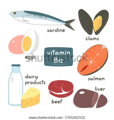 Set of products containing a great amount of vitamin B12. Foods high in b12. Hand drawn flat illustration. Isolated on white background.