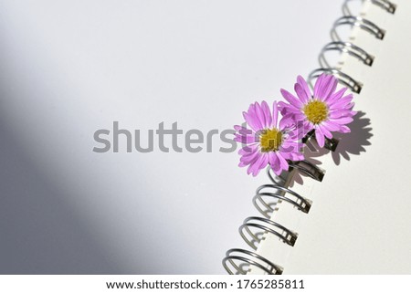 Flowers composition, empty spiral notebook or blank sketchbook, violet daisy background, vintage decoration, top view