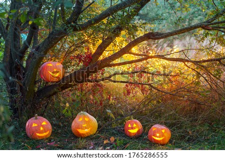 Halloween pumpkins in night mystery forest