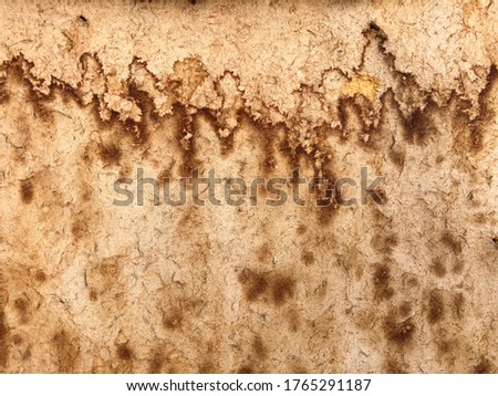 Surface of water wet MDF, water damaged wood board, small grain mdf surface texture background