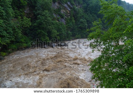 Wide fast stormy mountain river Prut.  Yaremche village, Carpathian mountain. Ukraine