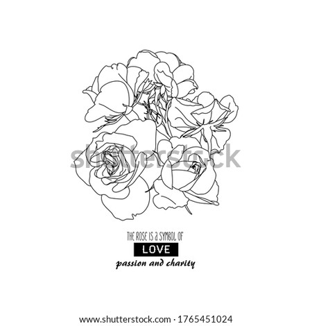 Rose flower composition vector EPS. Outline flower head Bud in contour lines drawn by hand. The concept of wedding. Symbol of love, passion and charity. Vector scheme for tattoo design, packaging