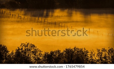 Mystical morning landscape with fog over a clearing with an old wooden fence