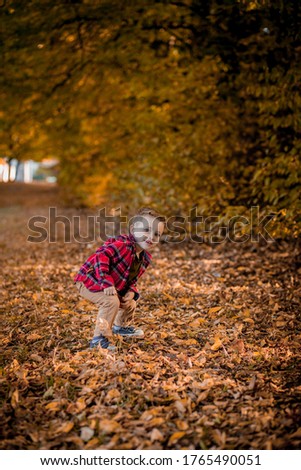 Little boy walks in nature in autumn, a preschooler in the autumn Park in yellow leaves.