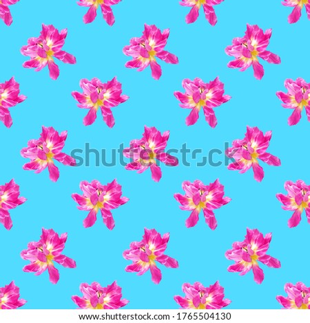 Seamless pattern of pink tulips on a blue background. The concept of plants, summer, holiday.