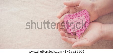 hands holding intestine shape, healthy bowel degestion, leaky gut, probiotics and prebotics for gut health, colon, gastric, stomach cancer concept Royalty-Free Stock Photo #1765523306