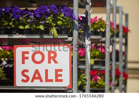 Background image of potted flowers stacked on shelves in plantation with red FOR SALE sign, copy space