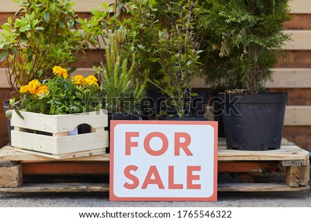 Background image of flowers and tree saplings with red FOR SALE sign in plantation, copy space
