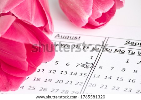 The date on the calendar is International Cat Day on August 8th. Royalty-Free Stock Photo #1765581320