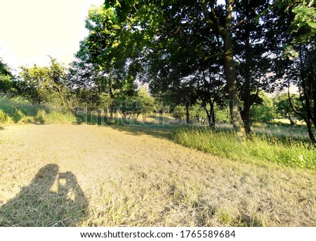 Amateur took a picture of the landscape in which his shadow can be seen