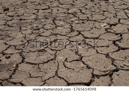 Draught cracked soil texture background.
Image in dry season.

 Royalty-Free Stock Photo #1765614098