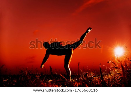 Silhouette of a male fighter performing karate technique in nature against the background of the sun at sunset