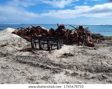 Clear cut of trees located on a beach, large stack of timbers placed in front of a bench to block a beautiful sea view. Funny picture, laughing, strange.