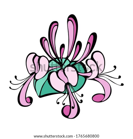 Image of pink honeysuckle blossom flowers. Flat vector illustration.
