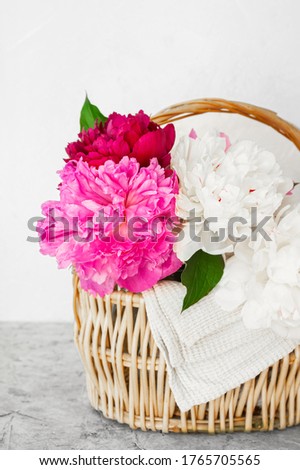 vertical image fresh lush fragrant multicolored peonies in a straw eco friendly wicker basket with a white cotton napkin on a white concrete background