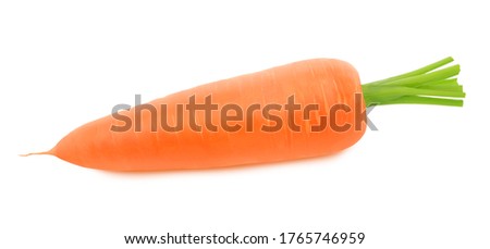 Fresh whole carrot isolated on a white background. Clip art image for package design.