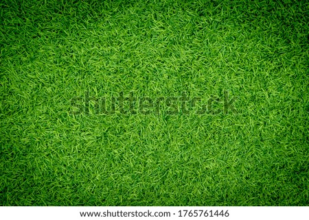 Natural green artificial grass background