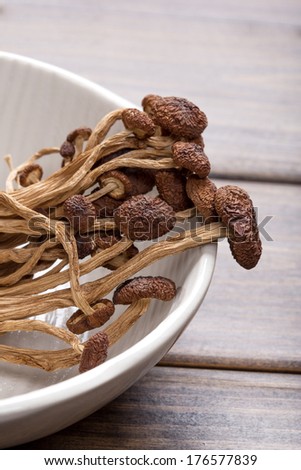 brown tea tree mushrooms.Popularly used in chinese 