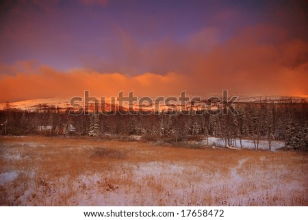 Dramatic sunset over winter forest