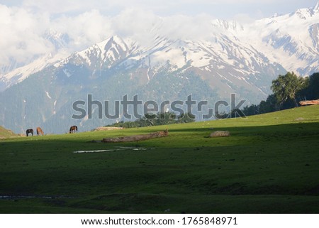 snow covered mountains of himalayas