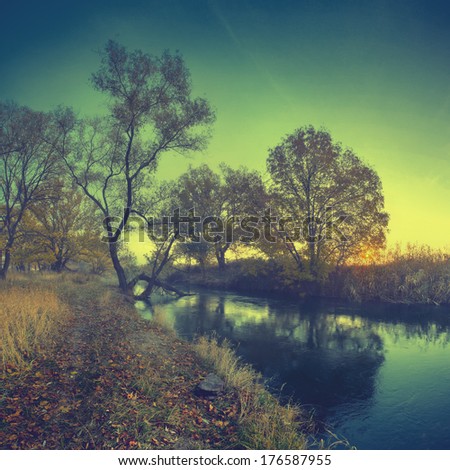 Vintage picture. Morning river with a trees reflected in river