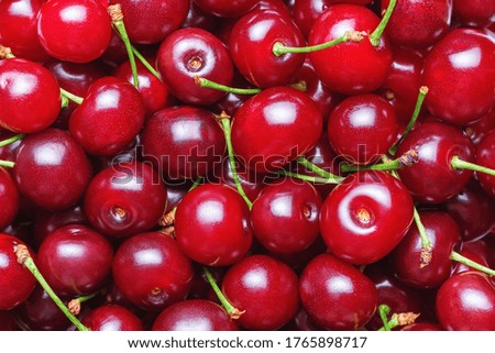Top view of a ripe juicy sweet shiny cherry with green sprigs. Abstract fruit food texture background with copy space.