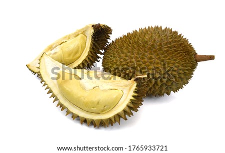 Ripe durian with thick thorns isolated on white background