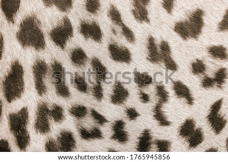 Wallpaper with abstract leopard pattern, seamless paper texture wild animals background