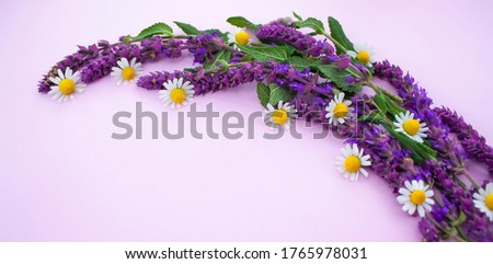 
daisy flowers and sage flowers collected in a wreath