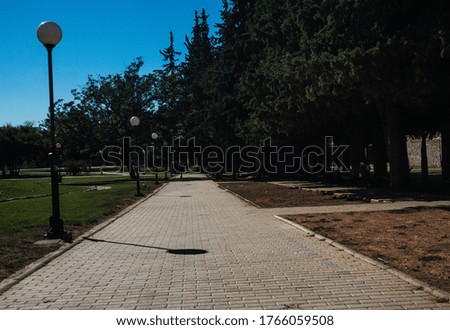 Sidewalk in a park. Pedestrian sidewalk, daylight, no people
