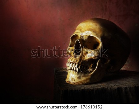 Still life fine art photography on human skeleton on wood log and red background