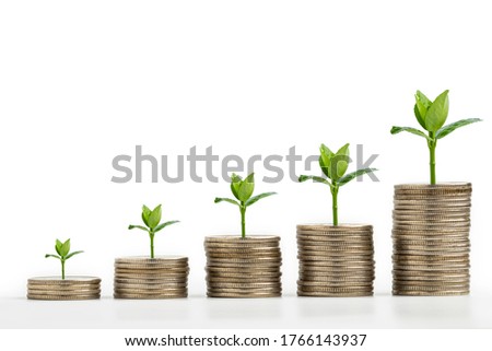 Money coin stack growing graph on white background,investment concept,Business Finance and Money concept
