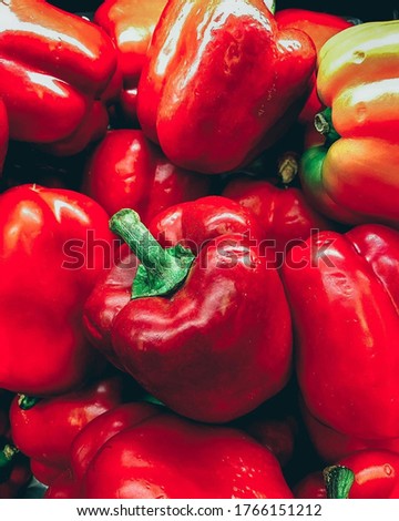 the red capsicum, stock photography