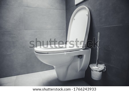 White ceramic toilet bowl near light grey wall.