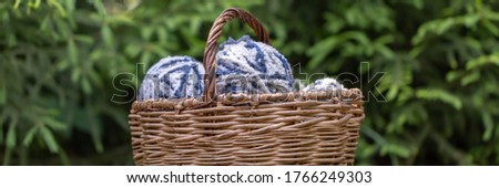 White-blue fluffy woolen balls in a basket on a background of green branches of spruce. Horizontal banner yarn for knitting.