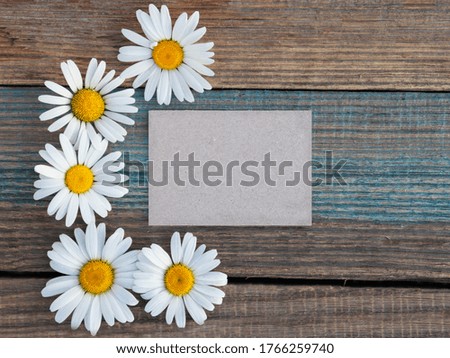 chamomile and gray cards on a wood-aged background. option card or postcard. mock up.