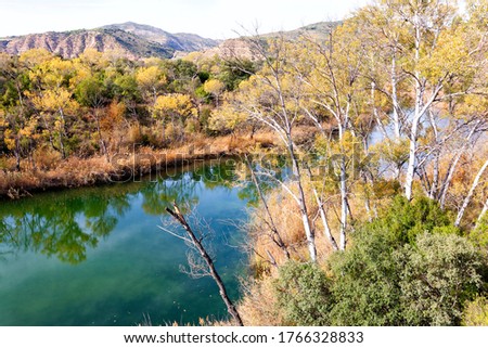 Riparian vegetation in autumn. Tagus (Tajo) River as it passes through Zorita de los Canes in Guadalajara. Spain. Zorita de los Canes is a Spanish municipality in the province of Guadalajara