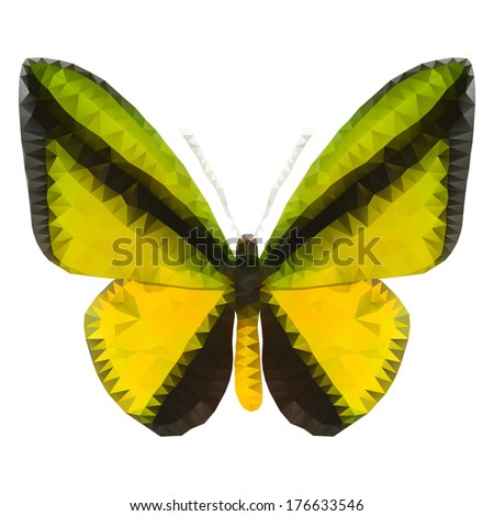 Illustration of ?olored geometric tropical butterfly on white background, triangle style