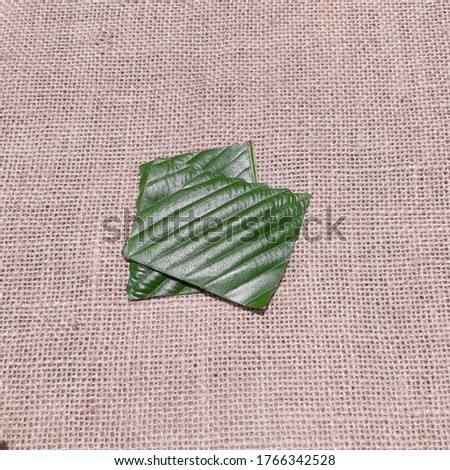 beautiful green leaves on the jute  fabric background