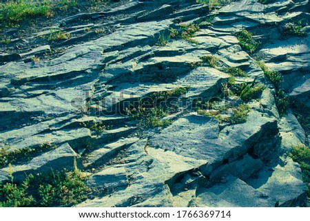 Cliff view on an early summer morning surrounded by green trees. Shallow depth of field