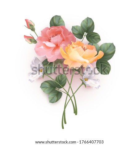 Beautiful roses. Floral branch. Botanic composition for wedding or greeting card