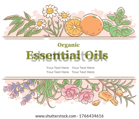 Design with popular essential oil flowers and herbs. Vector illustration.