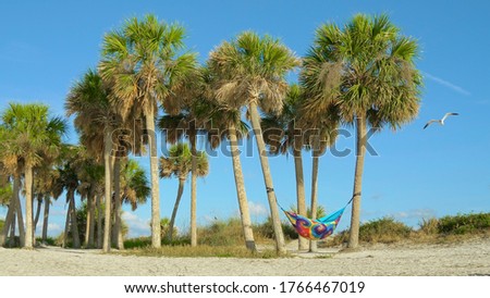 Hammock of rainbow colors hanging between the palm trees on beach. People on summer vacation relaxing in hammock. View of nice tropical background with palm trees. Beautiful tropical sunny beach.