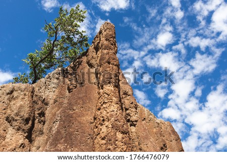 Magnetic termite mound, house for termites insects. Tree on top of the mound, clouds at background. Picture from below. Editing space. Litchfield national park, Northern Territory NT, Australia