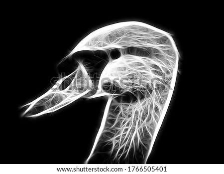 Fractal portrait of a wild white swan on a contrasting black background