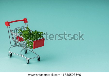 selective focus, small toy grocery cart, copyspace, with fresh green Basil