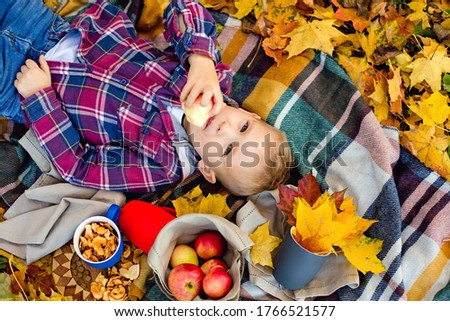 A smiling boy lies on a blanket with an Apple in his hands in the autumn Park. There are a lot of yellow maple leaves around. Picnic in nature in autumn.