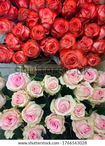 Bouquets of pink and red roses in a flower shop top view, floral wallpaper background with roses