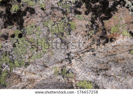moss on granite Royalty-Free Stock Photo #176657258
