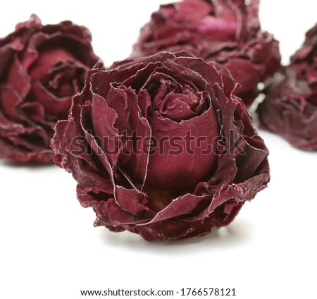 Dried roses on white background-- stock image